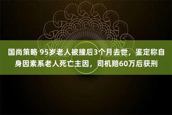 国尚策略 95岁老人被撞后3个月去世，鉴定称自身因素系老人死亡主因，司机赔60万后获刑