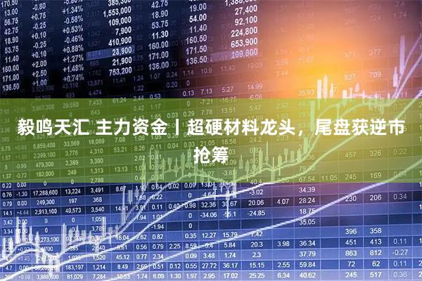 毅鸣天汇 主力资金丨超硬材料龙头，尾盘获逆市抢筹