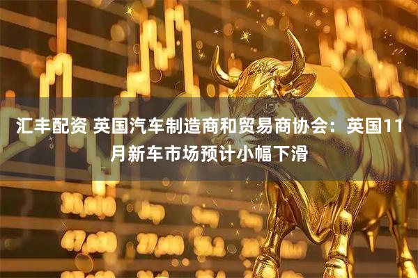 汇丰配资 英国汽车制造商和贸易商协会：英国11月新车市场预计小幅下滑