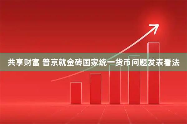 共享财富 普京就金砖国家统一货币问题发表看法