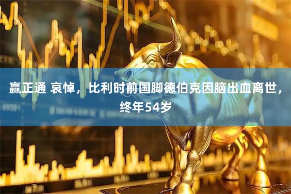 赢正通 哀悼，比利时前国脚德伯克因脑出血离世，终年54岁