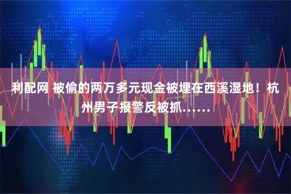 利配网 被偷的两万多元现金被埋在西溪湿地！杭州男子报警反被抓……