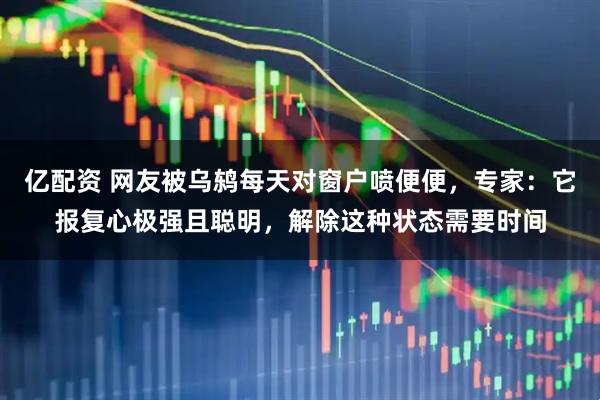 亿配资 网友被乌鸫每天对窗户喷便便，专家：它报复心极强且聪明，解除这种状态需要时间